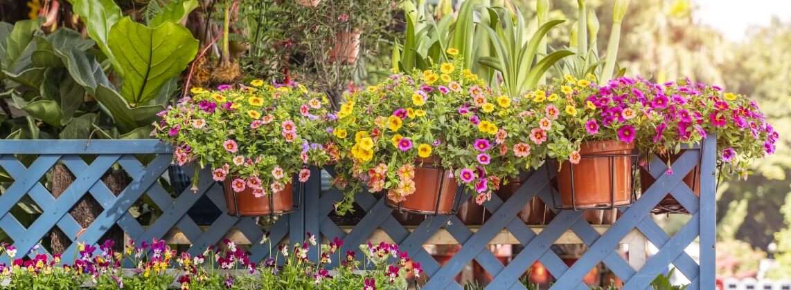 Landscape Services & Supplies Singapore | Lucky Garden Florist & Nursery