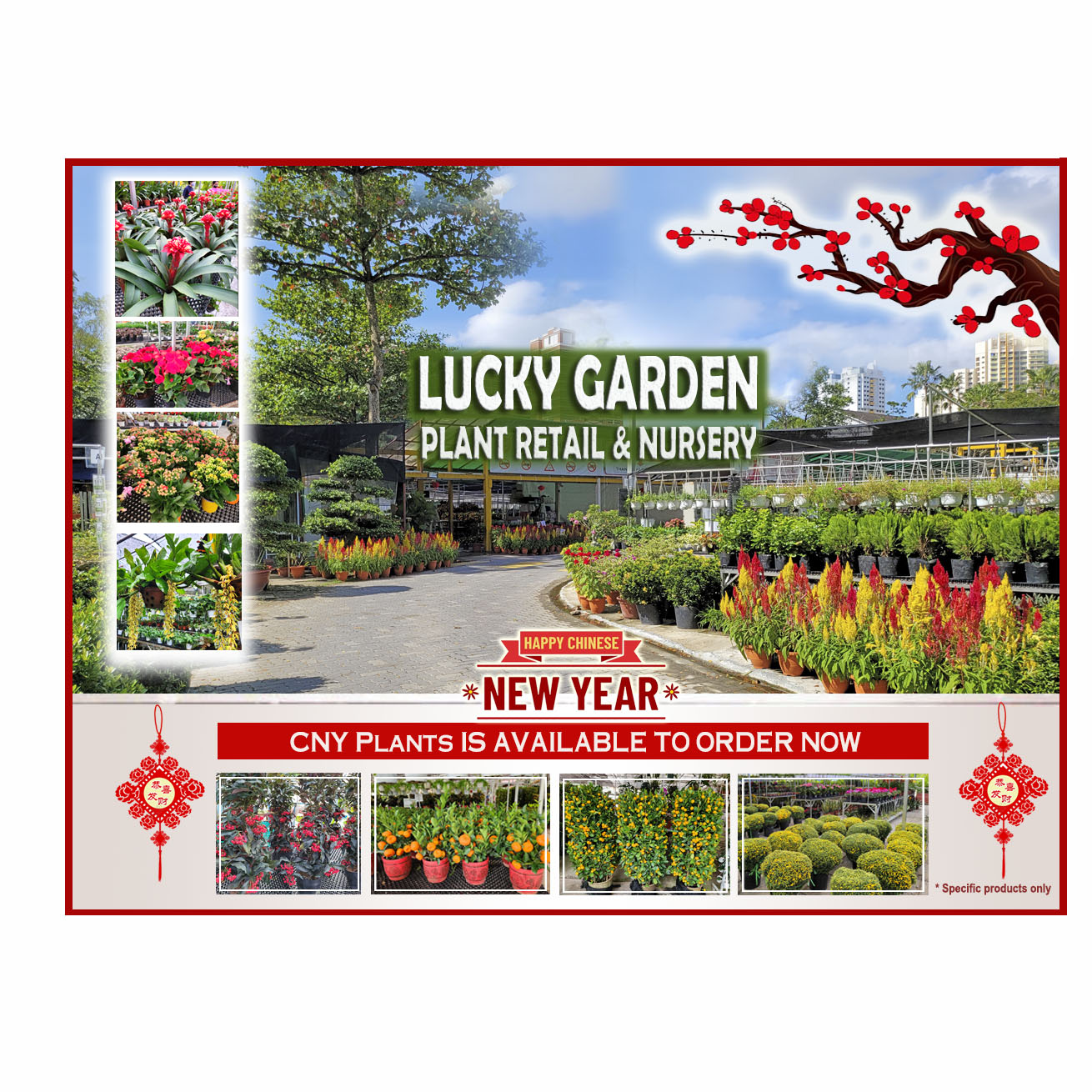 Landscape Services & Supplies Singapore | Lucky Garden Florist & Nursery
